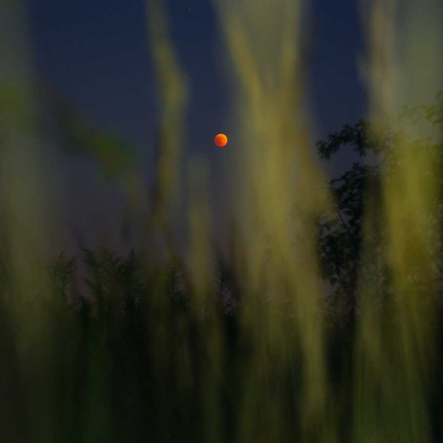 Blood Moon 2018