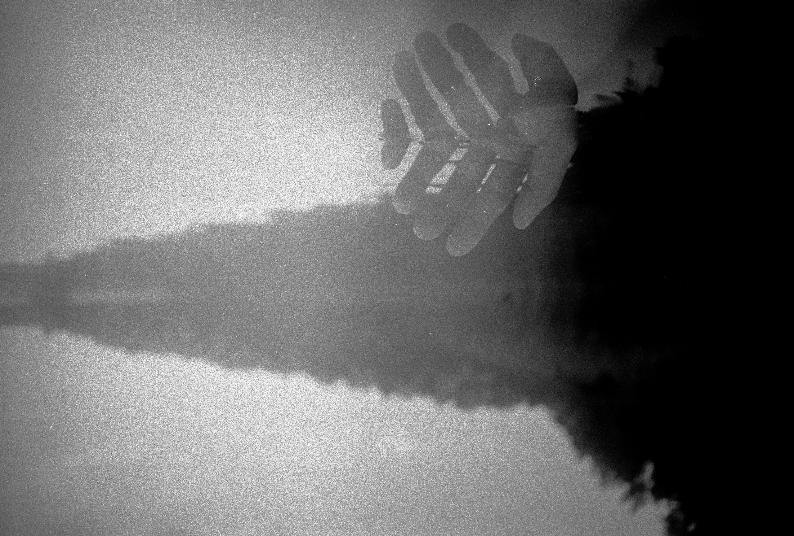 Analog / Letni poszum / Kentmere PAN 100 / Pentax MZ-60