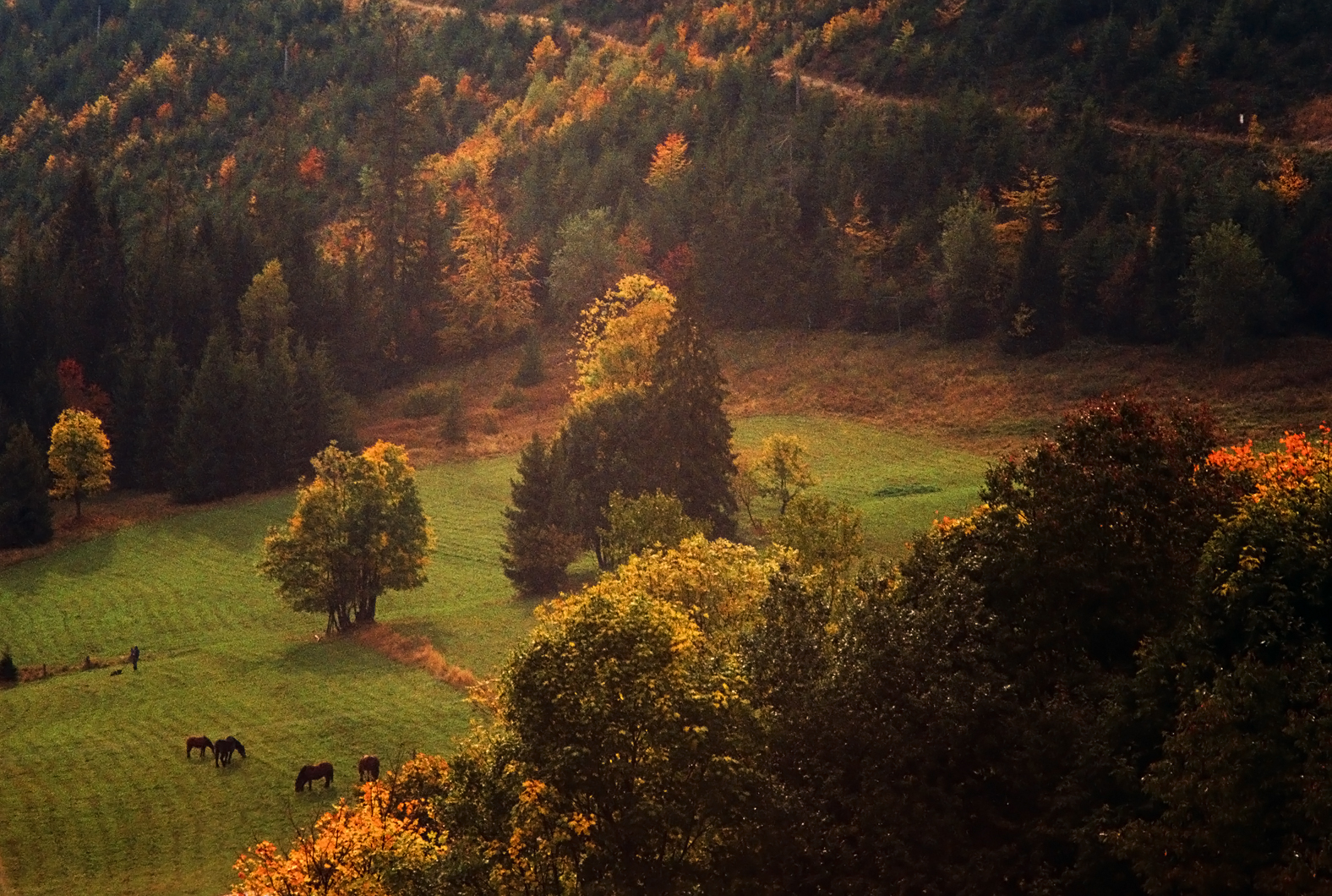 Wielka Rycerzowa / Analog / Kodak Portra 800 / Pentax ME
