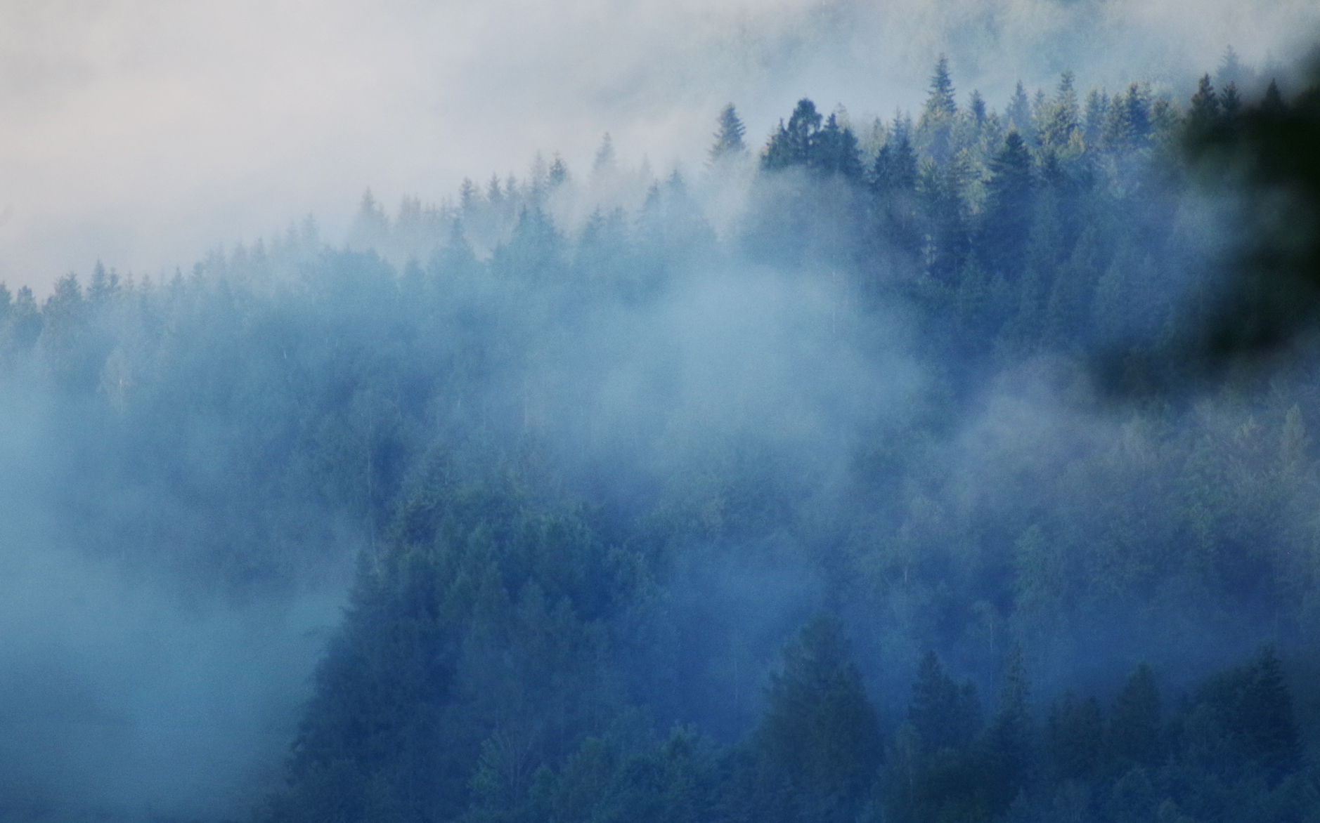 Diablak Płanetników / Zawoja
